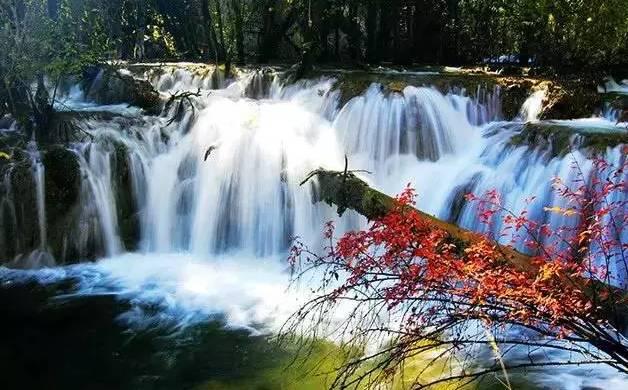 秘密基地找不同