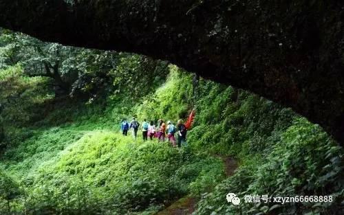 多吃糖危害竟这么大?5招让你少吃糖