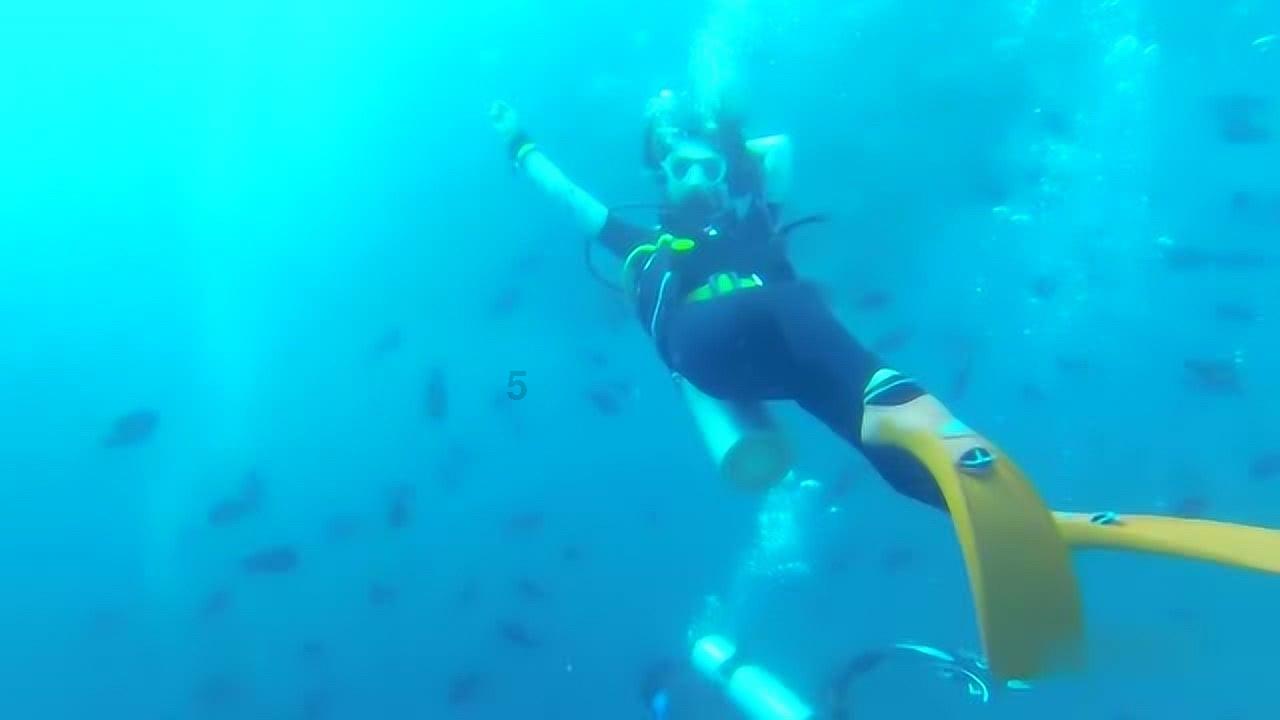 瑞德的冒险之旅中文版