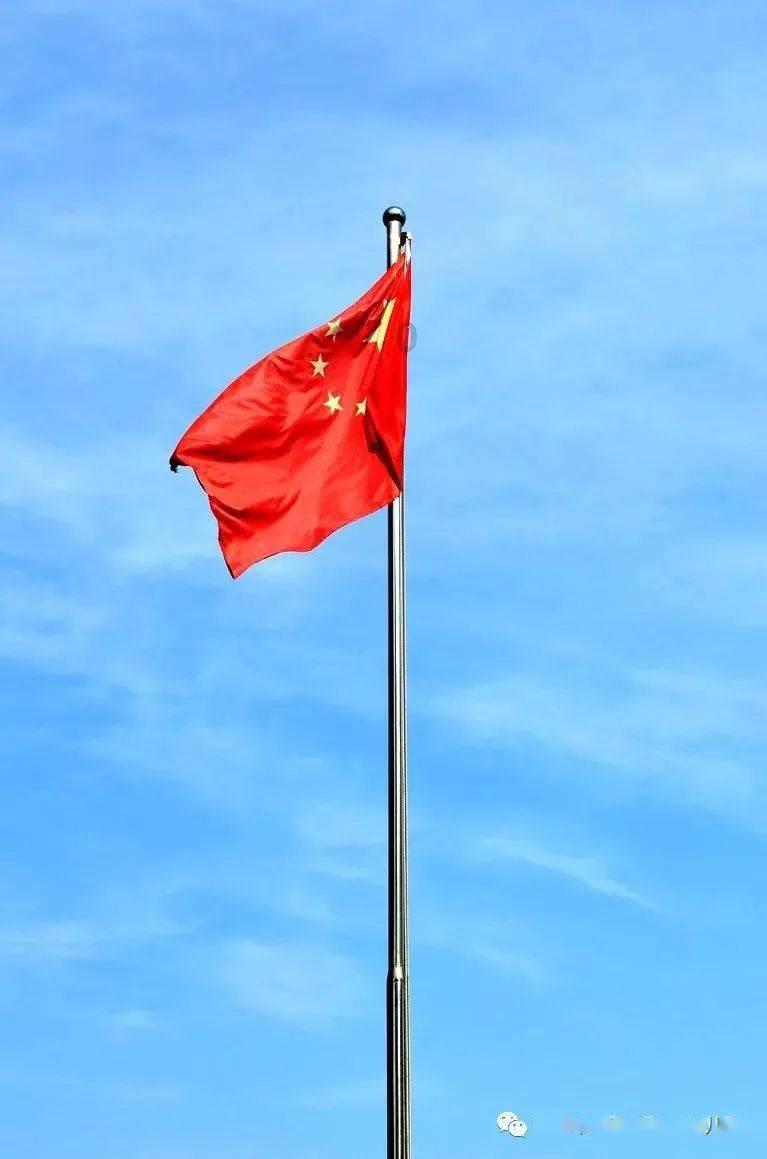 聚焦代表通道 | 黄成植：踏实做好河南茶产业 注重茶文化的传播和延续