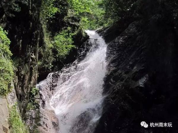 【两会·黔言】霍雨佳委员:强化智算能力建设 大力发展人工智能