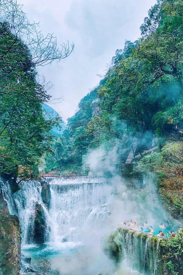 臭屁虫吃吃吃