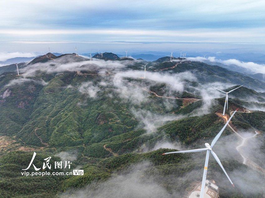 我们养狗，狗狗真的是开心的吗？
