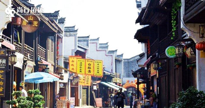生化危机：浣熊市行动
